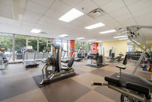 Photo for 929 Portland Avenue, 1006, Minneapolis, MN 55404 - Listing #6225442 929 Portland Avenue, 1006, Minneapolis, MN 55404