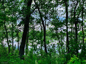 Photo for TBD 38TH ST NW, Williams, MN 56686 - Listing #6084844 TBD 38TH ST NW, Williams, MN 56686