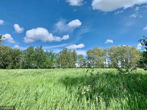 Photo for TBD 38TH ST NW, Williams, MN 56686 - Listing #6084844 TBD 38TH ST NW, Williams, MN 56686
