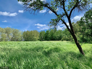 Photo for TBD 38TH ST NW, Williams, MN 56686 - Listing #6084844 TBD 38TH ST NW, Williams, MN 56686
