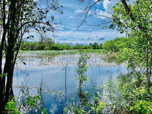 Photo for TBD 38TH ST NW, Williams, MN 56686 - Listing #6084844 High waters! But lots of dry land to build