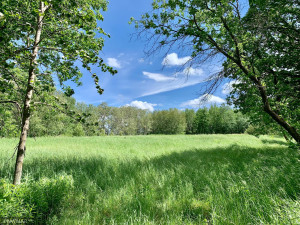 Photo for TBD 38TH ST NW, Williams, MN 56686 - Listing #6084844 TBD 38TH ST NW, Williams, MN 56686