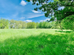 Photo for TBD 38TH ST NW, Williams, MN 56686 - Listing #6084844 TBD 38TH ST NW, Williams, MN 56686