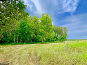 Photo for TBD 38TH ST NW, Williams, MN 56686 - Listing #6084844 TBD 38TH ST NW, Williams, MN 56686