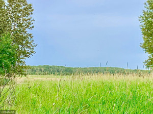 Photo for TBD 38TH ST NW, Williams, MN 56686 - Listing #6084844 TBD 38TH ST NW, Williams, MN 56686
