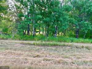 Photo for TBD 38TH ST NW, Williams, MN 56686 - Listing #6084844 TBD 38TH ST NW, Williams, MN 56686