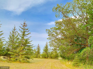 Photo for TBD 38TH ST NW, Williams, MN 56686 - Listing #6084844 Northwest side of Tract G- see survey stake