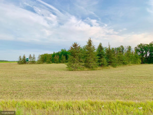 Photo for TBD 38TH ST NW, Williams, MN 56686 - Listing #6084844 TBD 38TH ST NW, Williams, MN 56686