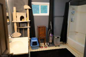 Photo for 602 Tamarack Street, Badger, MN 56714 - Listing #6226986 602 Tamarack Street, Badger, MN 56714