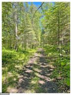 Photo for 4877 Dragonfly Court NE, Blackduck, MN 56630 - Listing #6225430 4877 Dragonfly Court NE, Blackduck, MN 56630