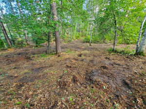 Photo for TBD Island Michelle Lee Trail, Park Rapids, MN 56470 - Listing #6197953 TBD Island Michelle Lee Trail, Park Rapids, MN 56470