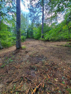 Photo for TBD Island Michelle Lee Trail, Park Rapids, MN 56470 - Listing #6197953 TBD Island Michelle Lee Trail, Park Rapids, MN 56470