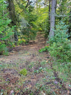 Photo for TBD Island Michelle Lee Trail, Park Rapids, MN 56470 - Listing #6197953 TBD Island Michelle Lee Trail, Park Rapids, MN 56470