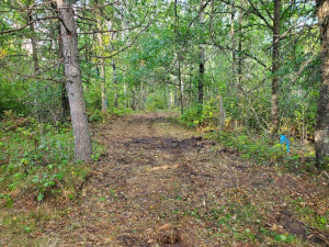 Photo for TBD Island Michelle Lee Trail, Park Rapids, MN 56470 - Listing #6197953 TBD Island Michelle Lee Trail, Park Rapids, MN 56470