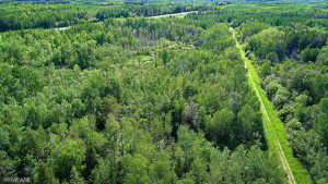 Photo for 1893 82nd Avenue NW, Williams, MN 56686 - Listing #6227924 1893 82nd Avenue NW, Williams, MN 56686