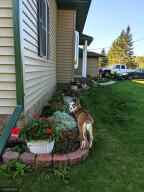 Photo for 1893 82nd Avenue NW, Williams, MN 56686 - Listing #6227924 1893 82nd Avenue NW, Williams, MN 56686