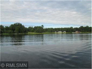 Shoreline view from Johnson Lake
