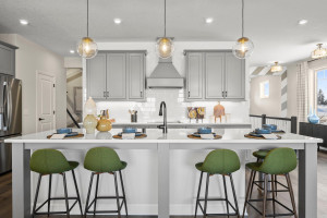 Photo for 1896 Archer Street, Shakopee, MN 55379 - Listing #6229635 pictures rendering for illustration purposes only