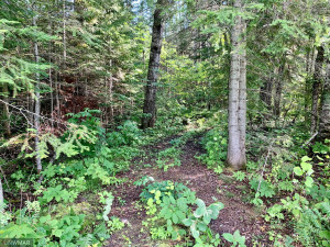Photo for 2191 94th Avenue NW, Roosevelt, MN 56673 - Listing #6232894 4 wheeler Trail to State land and miles of trails