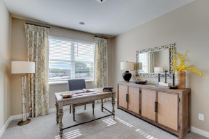 Photo for 18215 Hideaway Trail, Lakeville, MN 55044 - Listing #6118056 Flex room shown as a study. This room can be converted to a bedroom as an option.