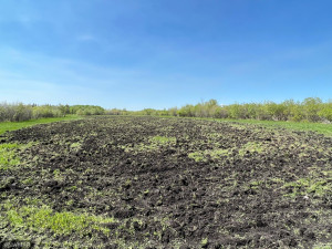 Photo for TBD County Road 15, Roseau, MN 56751 - Listing #6214170 TBD County Road 15, Roseau, MN 56751
