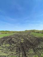 TBD County Road 15, Roseau, MN 56751