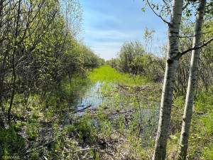 Photo for TBD County Road 15, Roseau, MN 56751 - Listing #6214170 TBD County Road 15, Roseau, MN 56751