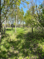 Photo for TBD County Road 15, Roseau, MN 56751 - Listing #6214170 TBD County Road 15, Roseau, MN 56751