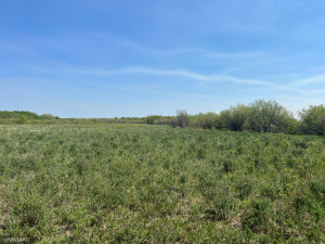 TBD County Road 15, Roseau, MN 56751