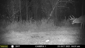Photo for TBD County Road 15, Roseau, MN 56751 - Listing #6214170 TBD County Road 15, Roseau, MN 56751