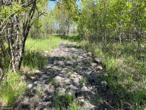 Photo for TBD County Road 15, Roseau, MN 56751 - Listing #6214170 TBD County Road 15, Roseau, MN 56751