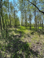 Photo for TBD County Road 15, Roseau, MN 56751 - Listing #6214170 TBD County Road 15, Roseau, MN 56751