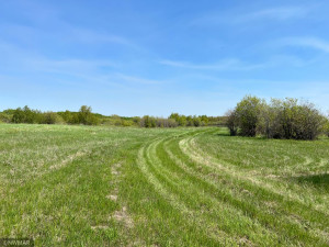 TBD County Road 15, Roseau, MN 56751