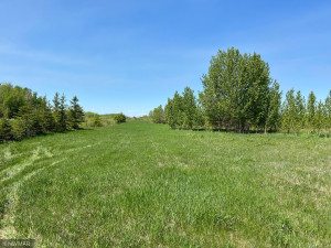 Photo for TBD County Road 15, Roseau, MN 56751 - Listing #6214170 TBD County Road 15, Roseau, MN 56751