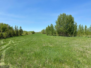 TBD County Road 15, Roseau, MN 56751