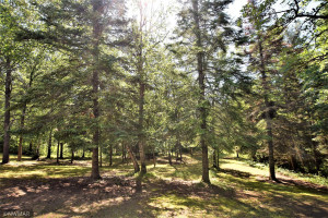 Photo for 56072 350th Street, Warroad, MN 56763 - Listing #6233637 56072 350th Street, Warroad, MN 56763