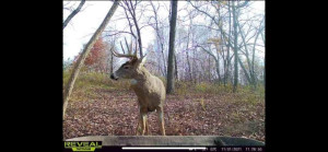 N23415 Oak Ridge Drive, Arcadia, WI 54612