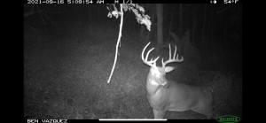 N23415 Oak Ridge Drive, Arcadia, WI 54612