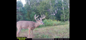 N23415 Oak Ridge Drive, Arcadia, WI 54612