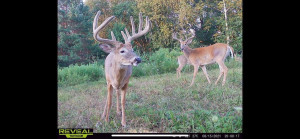 N23415 Oak Ridge Drive, Arcadia, WI 54612