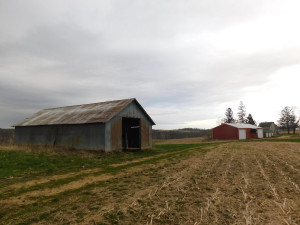 N23415 Oak Ridge Drive, Arcadia, WI 54612
