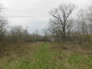 N23415 Oak Ridge Drive, Arcadia, WI 54612