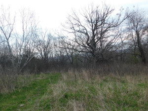 N23415 Oak Ridge Drive, Arcadia, WI 54612