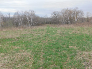 N23415 Oak Ridge Drive, Arcadia, WI 54612