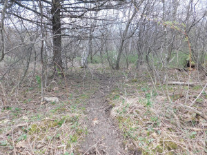 N23415 Oak Ridge Drive, Arcadia, WI 54612