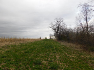 N23415 Oak Ridge Drive, Arcadia, WI 54612