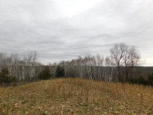 N23415 Oak Ridge Drive, Arcadia, WI 54612