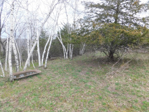 N23415 Oak Ridge Drive, Arcadia, WI 54612