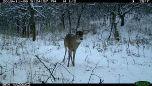 N23415 Oak Ridge Drive, Arcadia, WI 54612