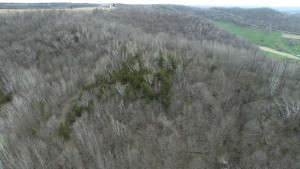 N23415 Oak Ridge Drive, Arcadia, WI 54612